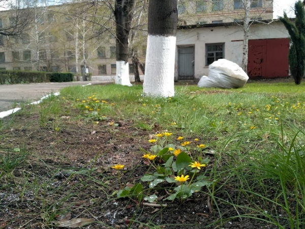 "Бетонмаш" поддерживает мировую акцию #trashtag